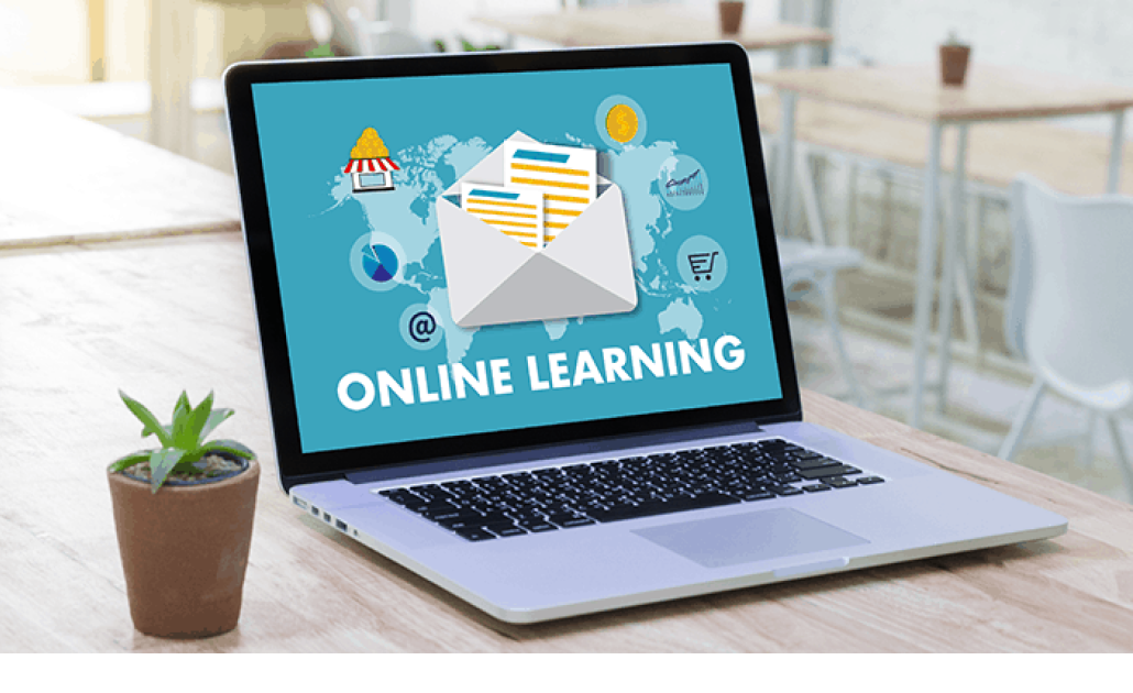 Volunteer Training - Experience